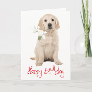  Golden Retriever Blumen Welpen Hund Alles Gute zu Karte