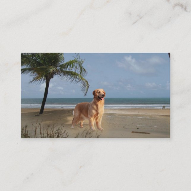 Golden retriever-Brüter-Visitenkarte Visitenkarte (Vorderseite)