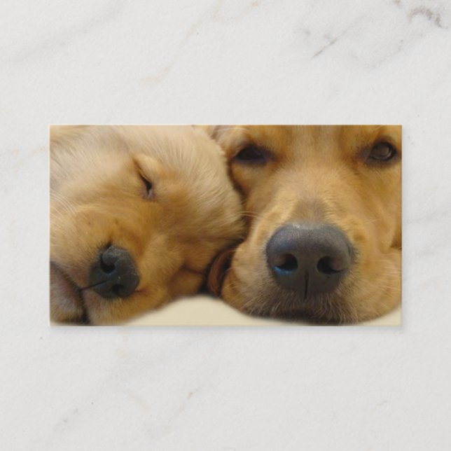 Golden retriever-Brüter-Visitenkarte Visitenkarte (Vorderseite)