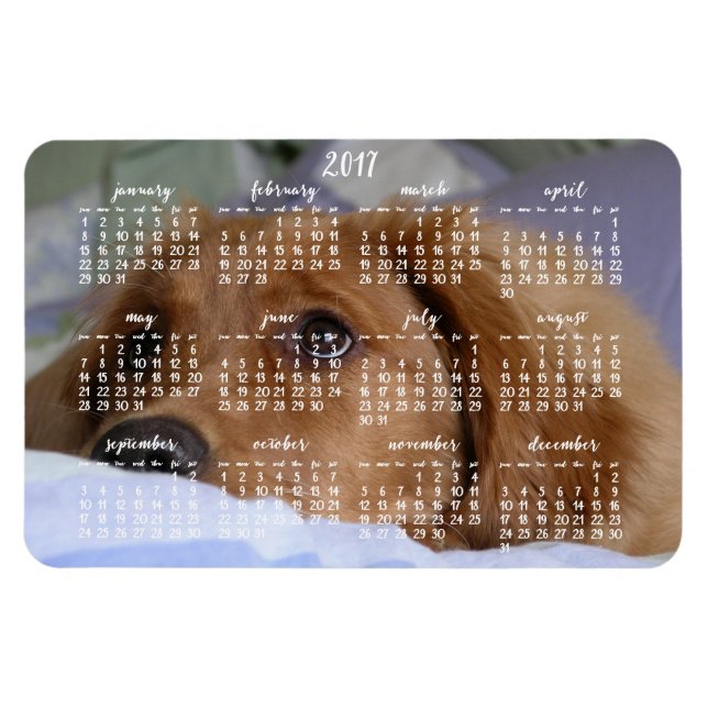 Golden Retriever Calendar 2017 Grand Magnet photo (Horizontal)