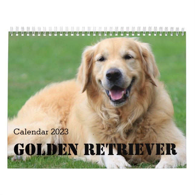 Golden Retriever Calendar 2023 Kalender (Titelbild)