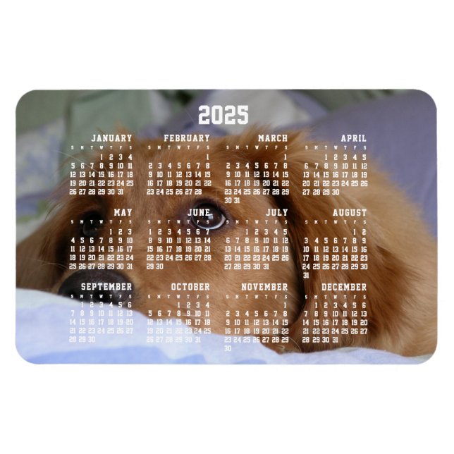 Golden Retriever Calendar 2025 Großes Foto Magnet (Horizontal)