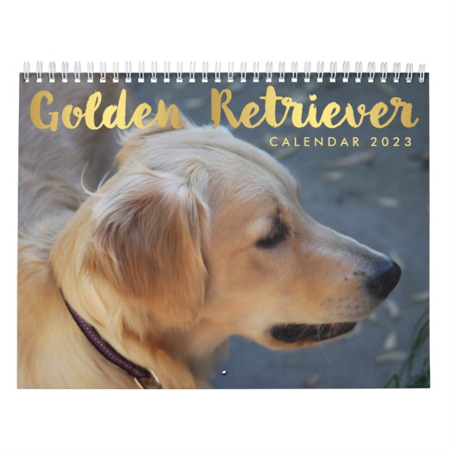Golden Retriever Calendrier 2023 Photos (Protection)