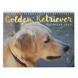 Golden Retriever Calendrier 2023 Photos