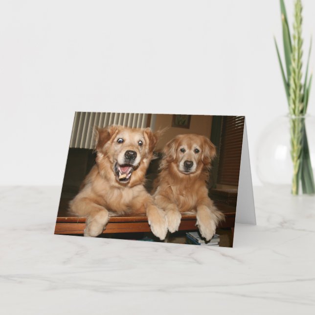 Golden Retriever Carte de voeux anniversaire (Devant)