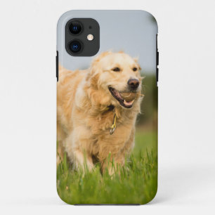 Golden Retriever iPhone 11 Hülle