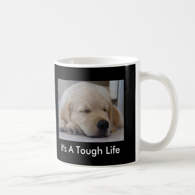Golden retriever c'est une tasse dure de chiot de (Droite)
