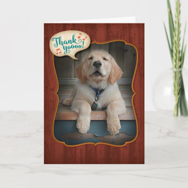 Golden Retriever chanter brille la Carte de remerc (Devant)