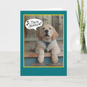 Golden Retriever chanter brille la Carte de remerc