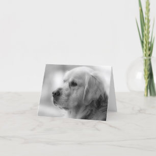 Golden Retriever Chien Chien blanc Carte pour note