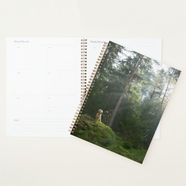 Golden Retriever Chien | Pine Woodland (Devant avec enveloppe)