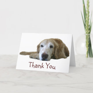 Golden Retriever Dankeschön Karte