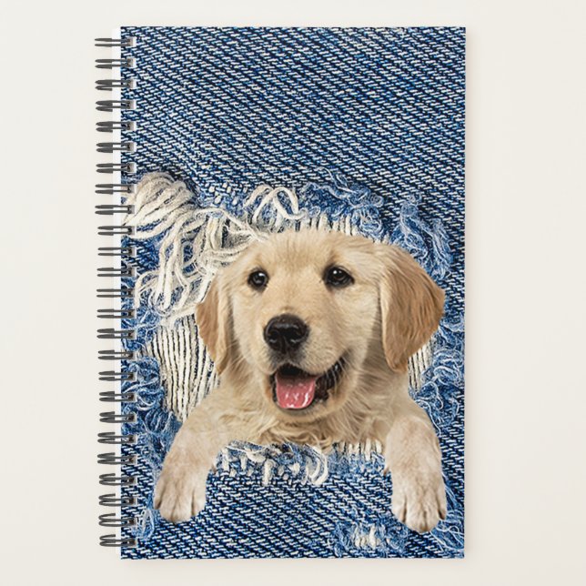 Golden Retriever dans Denim Hole (Devant)