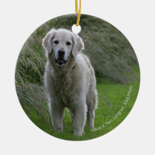 Golden retriever, das 2 laufen lässt keramikornament (Vorne)