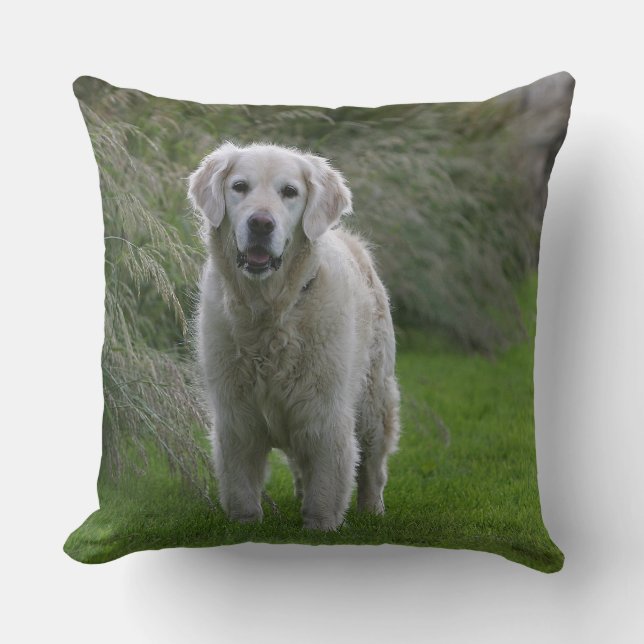 Golden retriever, das 2 laufen lässt kissen (Vorderseite)