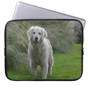Golden retriever, das 2 laufen lässt laptopschutzhülle