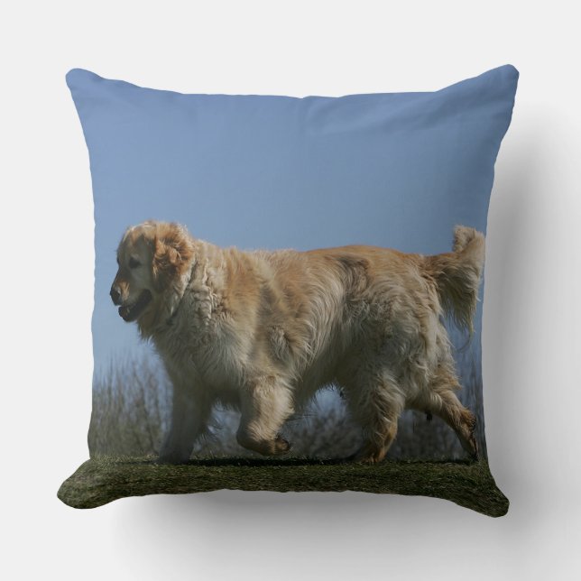 Golden retriever, das 3 laufen lässt kissen (Vorderseite)