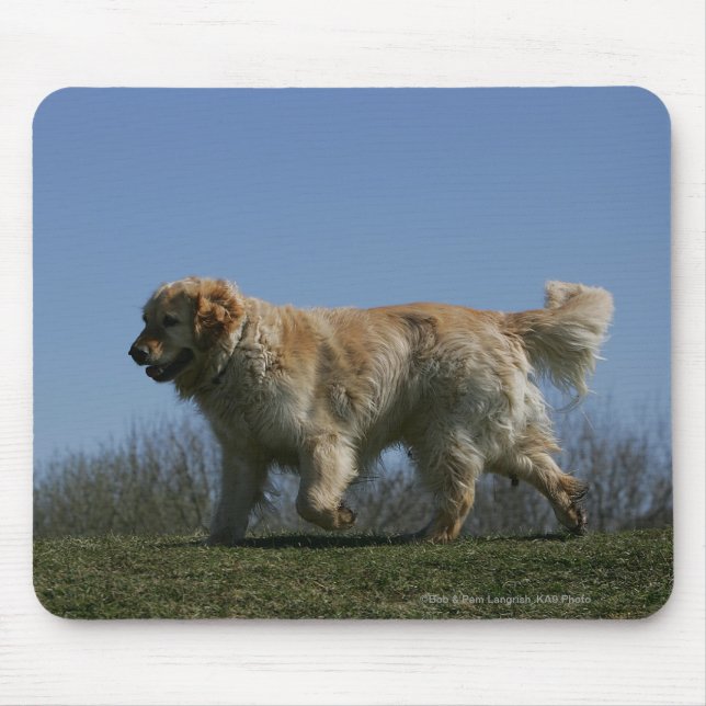 Golden retriever, das 3 laufen lässt mousepad (Vorne)
