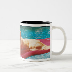 Golden retriever, das auf einem Luft-Bett in a Zweifarbige Tasse