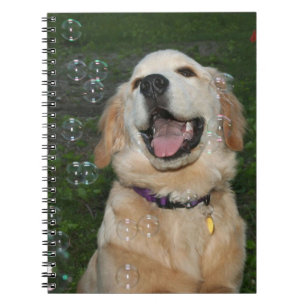 Golden retriever, das Blasen fängt Notizblock
