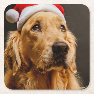Golden retriever, das für sein Weihnachten Rechteckiger Pappuntersetzer