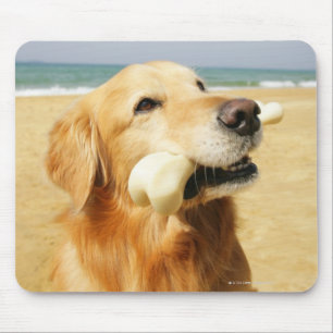 Golden retriever, das Knochen isst Mousepad