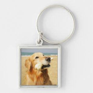 Golden retriever, das Knochen isst Schlüsselanhänger