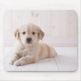 Golden retriever, das sich hinlegt mousepad