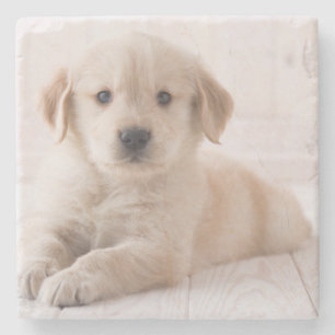 Golden retriever, das sich hinlegt steinuntersetzer