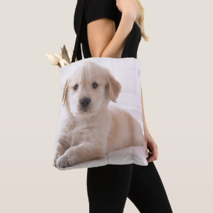 Golden retriever, das sich hinlegt tasche