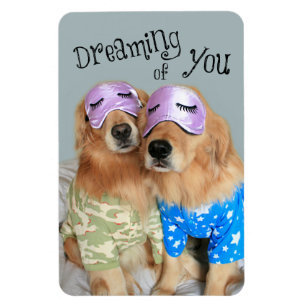 Golden retriever, das von Ihnen träumt Magnet