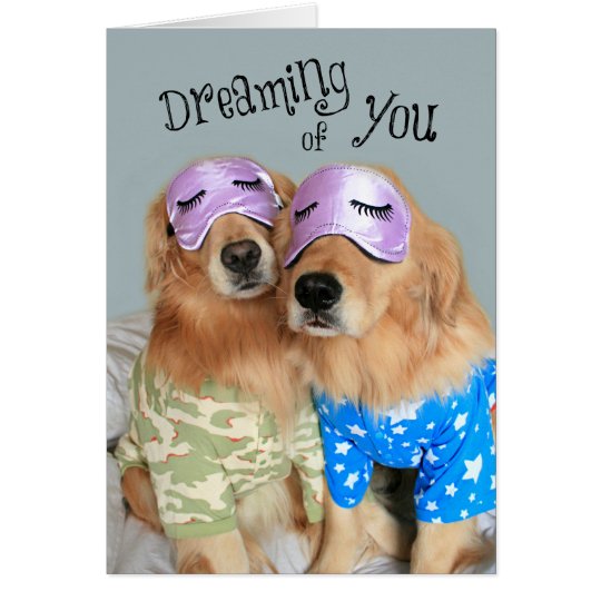 Golden retriever, das von Ihnen Valentinstag Karte
