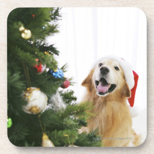 Golden retriever, das Weihnachtsbaum aufpasst Untersetzer