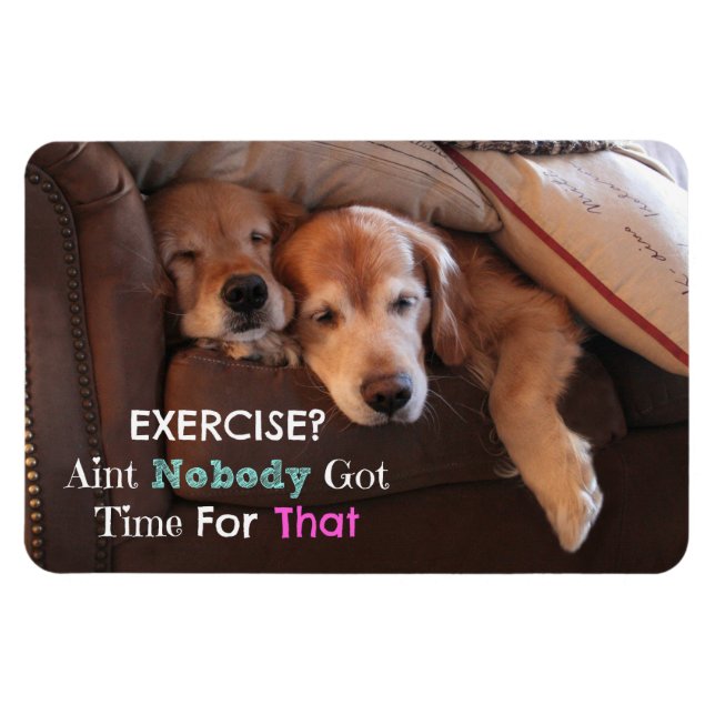 Golden Retriever Demotivation Magnet (Horizontal)