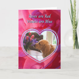 Golden Retriever Der Hund ist meine LieblingsValen Karte