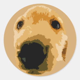 GOLDEN RETRIEVER DOG BROWN RUNDER AUFKLEBER