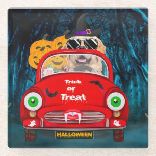 Golden Retriever Dog Driving Car Beängstigend Hall Glasuntersetzer