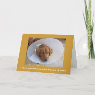 Golden Retriever Dog erhalten eine gute Grußkarte Karte