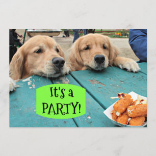Golden Retriever Dog Es ist eine Party Einladung