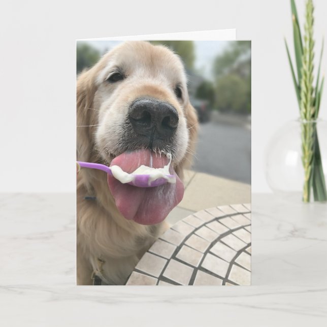 Golden Retriever Dog Es ist immer Eis Cream O'Cloc Karte (Vorderseite)