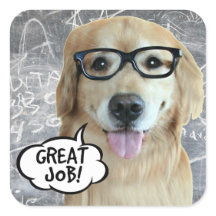 Golden Retriever Dog Great Job Teacher Belohnung
