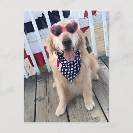Golden Retriever Dog in Independence Day Glasses Postkarte