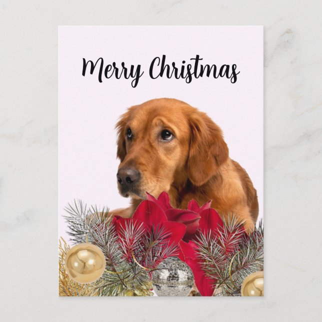 Golden Retriever Dog mit Weihnachtsschmuck Postkarte (Vorderseite)