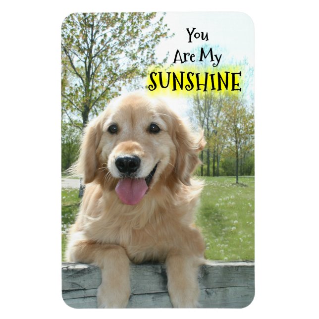 Golden Retriever Dog on Fence Sie sind mein Sonnen Magnet (Vertikal)