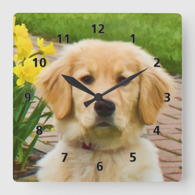 Golden Retriever Dog Quadratische Wanduhr (Vorderseite)