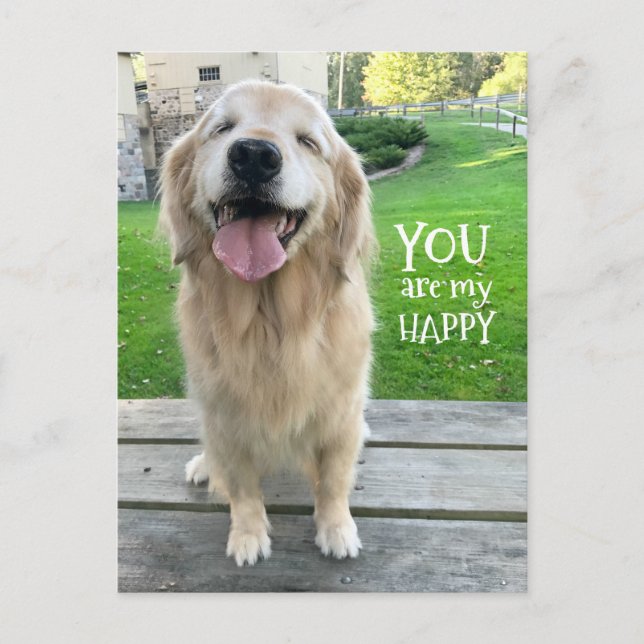 Golden Retriever Dog Sie sind mein Glück Postkarte (Vorderseite)