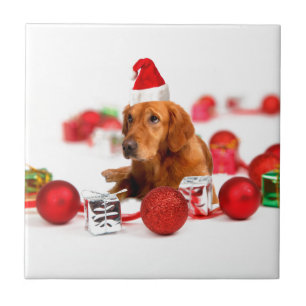Golden Retriever Dog W Rote Weihnachtsmannmütze We Fliese