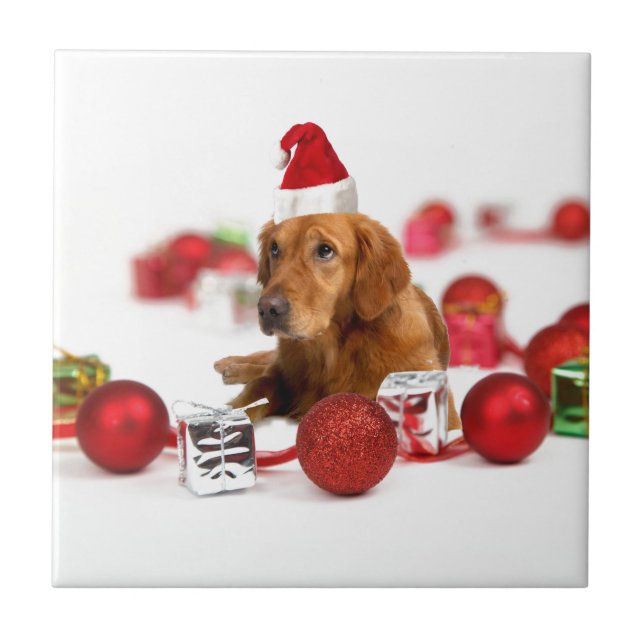 Golden Retriever Dog W Rote Weihnachtsmannmütze We Fliese (Vorderseite)