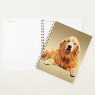 Golden retriever Dog Water Couleur Art Peinture