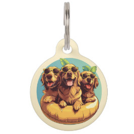 Golden Retriever Dogs Summer Pool Floods Haustiermarke